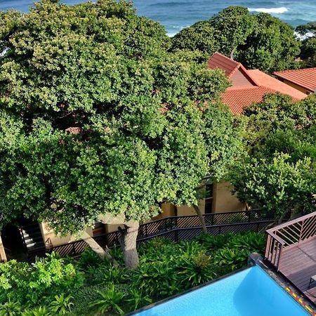 Anew Hotel Ocean Reef Zinkwazi Kültér fotó